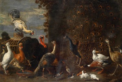 Poultry Yard with Peacock, Turkey, and Ducks by Circle of Adriaen van Utrecht